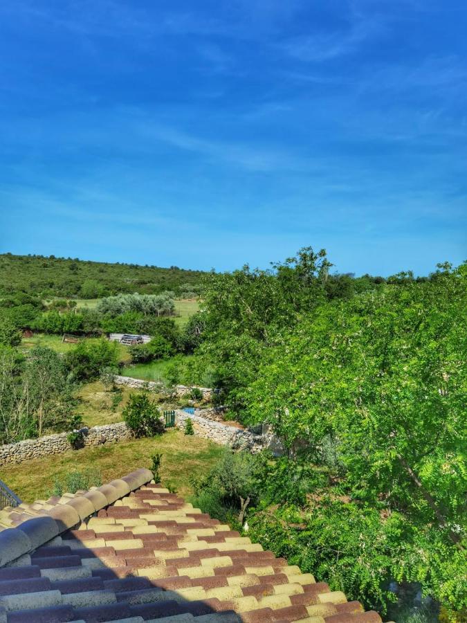 Villa Dvori Dida Mile Sveti Petar  Exterior photo